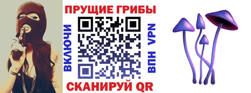 где найти наркотики Шадринск Псилоцибиновые грибы GOLDEN TEACHER