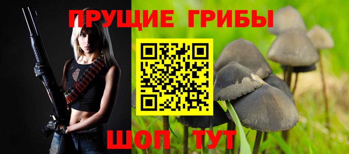 Псилоцибиновые грибы Psilocybine cubensis Шадринск