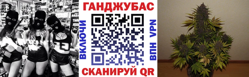Шишки марихуана сатива  OMG как войти  Шадринск 