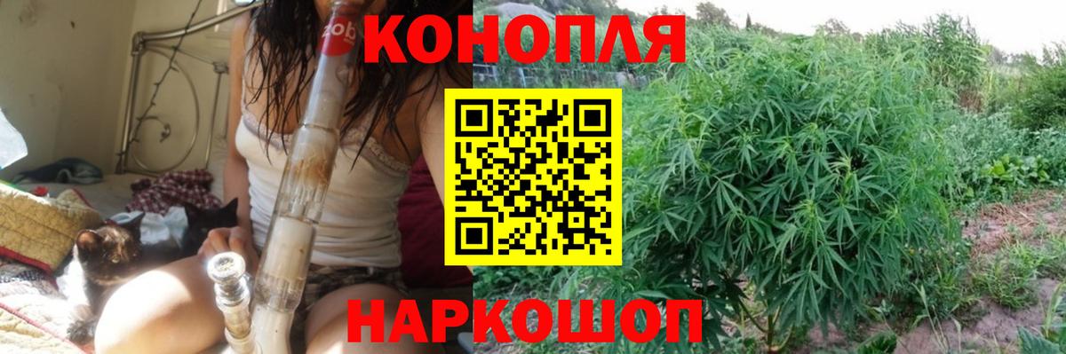 Конопля AK-47 Шадринск